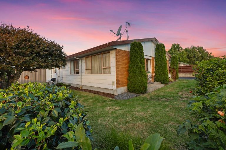 Photo of property in 213a Fifteenth Avenue, Tauranga South, Tauranga, 3112