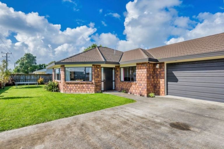 Photo of property in 38 Lemon Street, Otaki, 5512