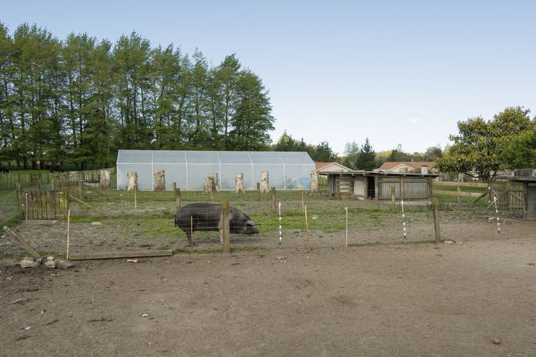 Photo of property in 48 Belk Road South, Omanawa, Tauranga, 3173