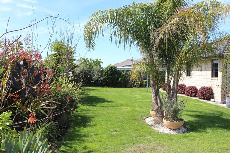 Photo of property in 12 Begley Place, Frimley, Hastings, 4120