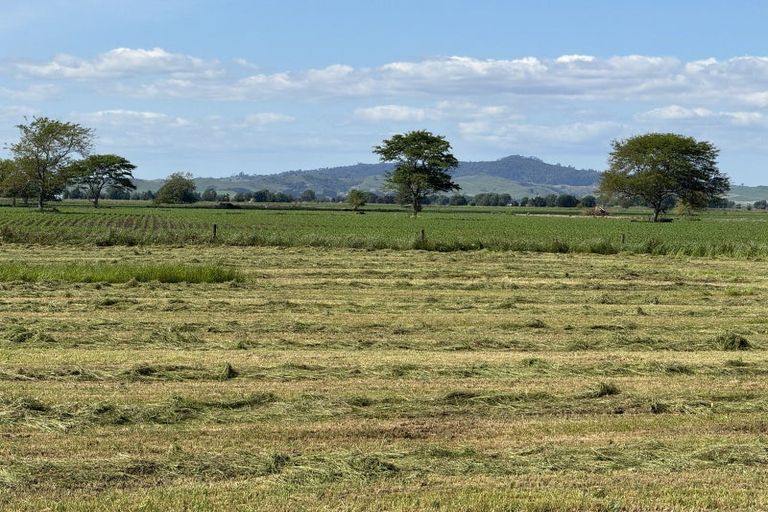 Photo of property in 495a Piako Road, Gordonton, Hamilton, 3281