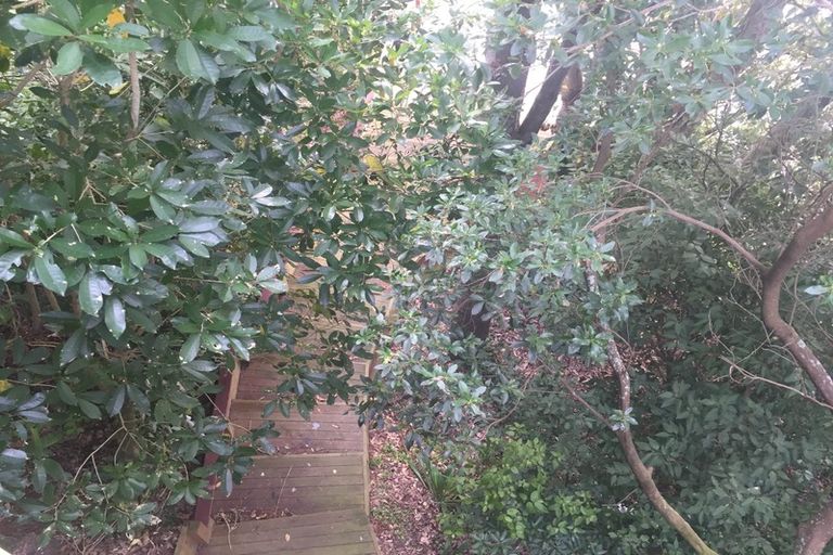 Photo of property in 38 Clyde Street, Roseneath, Port Chalmers, 9023