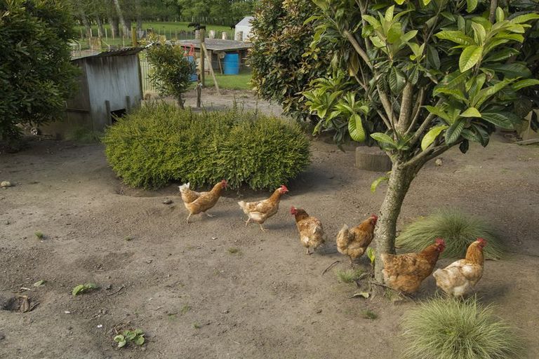 Photo of property in 48 Belk Road South, Omanawa, Tauranga, 3173