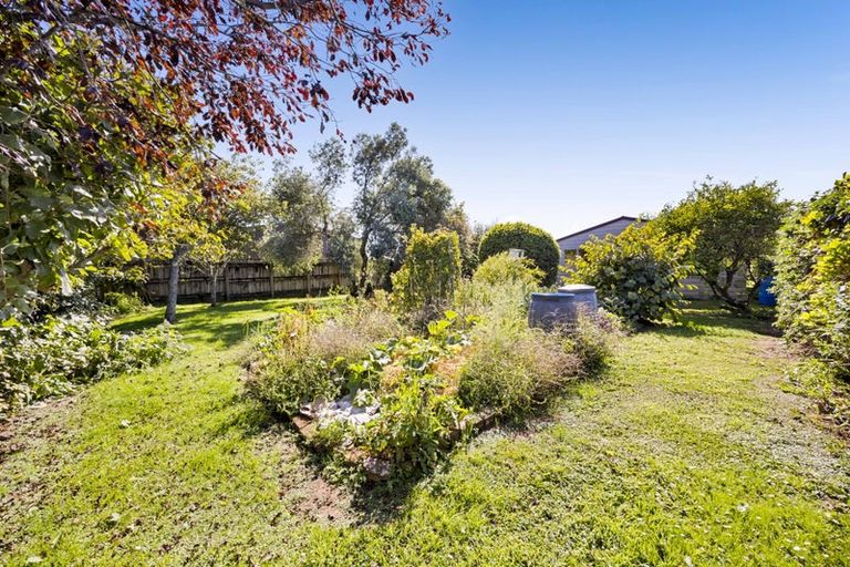 Photo of property in 77 Swansea Road, Stratford, 4332