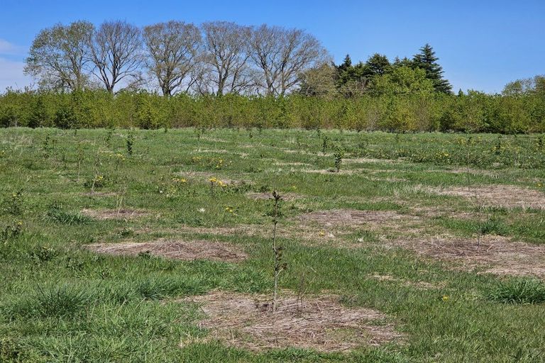 Photo of property in 577 Pesters Road, West Eyreton, Rangiora, 7475