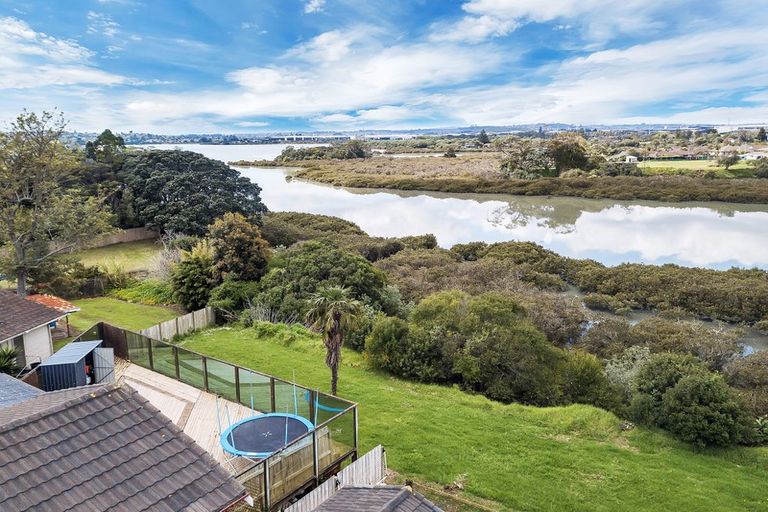 Photo of property in 29 Mataroa Road, Mount Wellington, Auckland, 1062