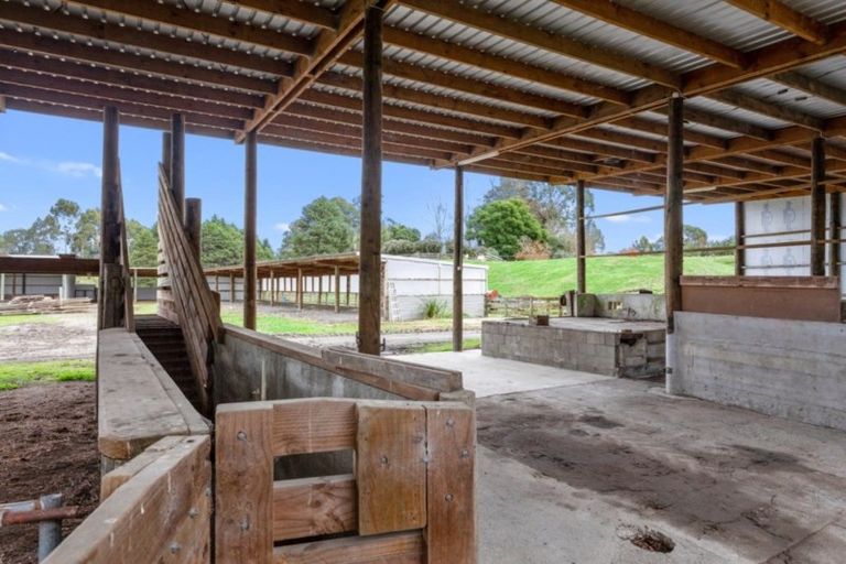 Photo of property in 131e Hogg Road, Rotoma, Whakatane, 3192