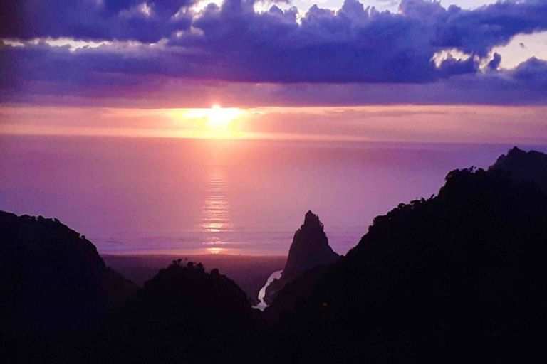 Photo of property in 128 Lone Kauri Road, Karekare, Auckland, 0772