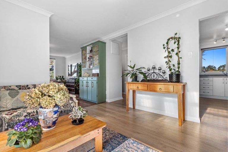 Photo of property in 53 Hampton Terrace, Parkvale, Tauranga, 3112