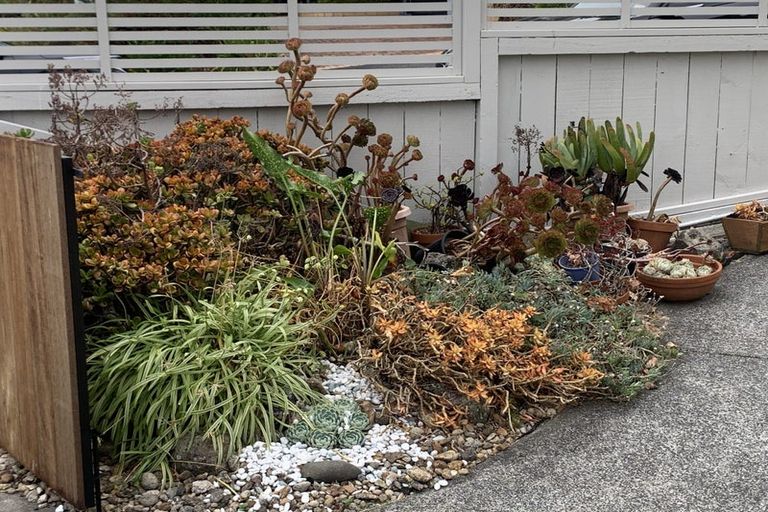 Photo of property in 2a Castleton Drive, Howick, Auckland, 2014