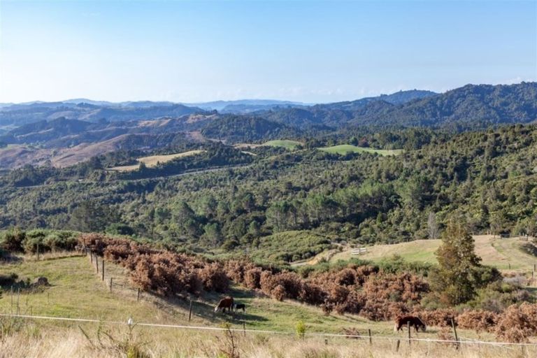 Photo of property in 50c Paul Road, Whenuakite, Whitianga, 3591