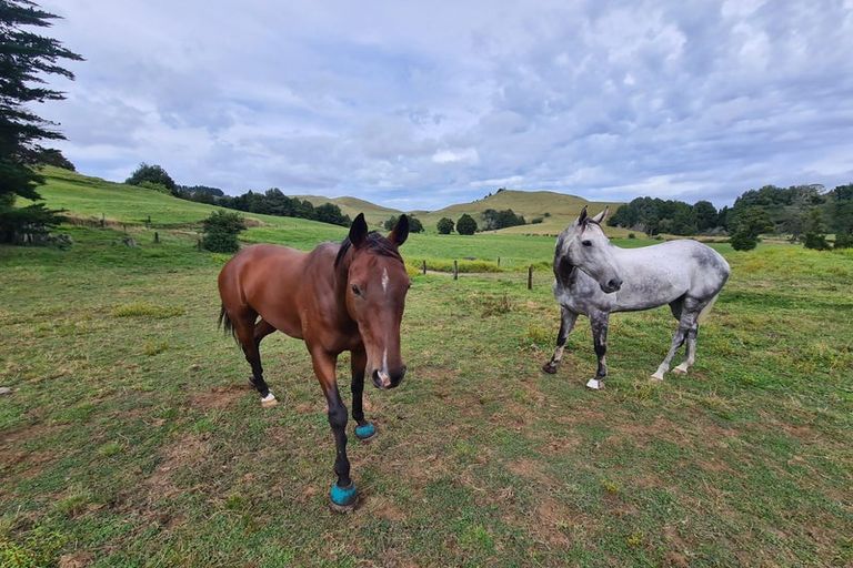 Photo of property in 2386 Tarata Road, Tarata, Inglewood, 4387