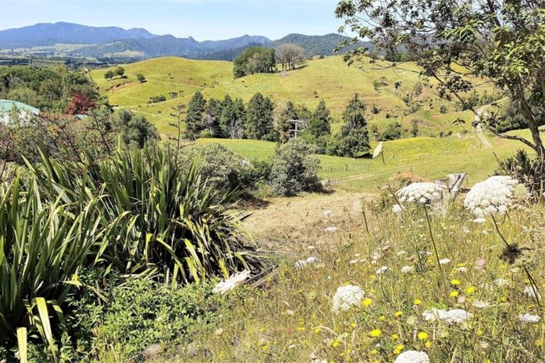 Photo of property in 335 Lindemann Road, Tahawai, Katikati, 3170