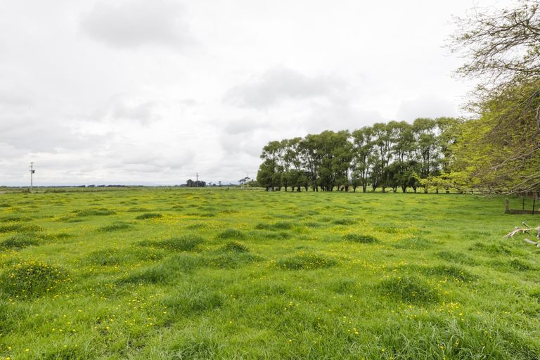 Photo of property in 1216 Rangiotu Road, Tiakitahuna, Palmerston North, 4477