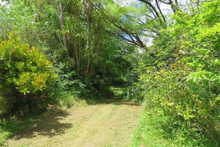 Photo of property in 605 Whakapirau Road, Whakapirau, Maungaturoto, 0583