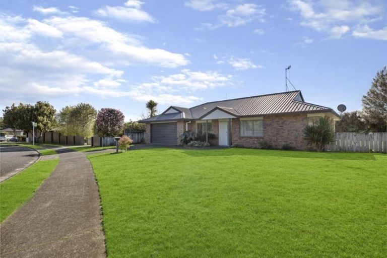 Photo of property in 55 Tom Muir Drive, Gate Pa, Tauranga, 3112