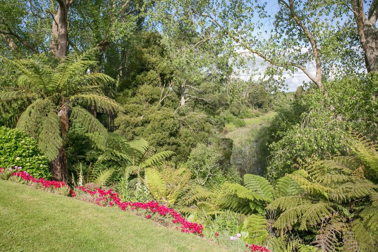 Photo of property in 217 Kane Street, Pirongia, 3802