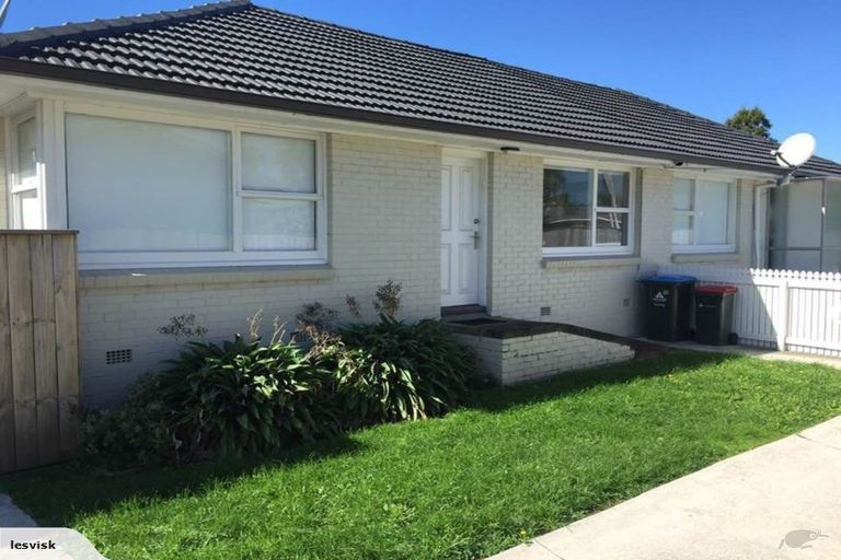 Photo of property in 8a Faber Avenue, Mount Wellington, Auckland, 1060