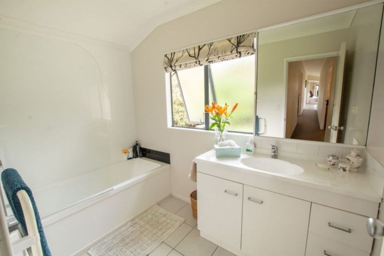 Photo of property in 63 Solomon Street, Brookfield, Tauranga, 3110