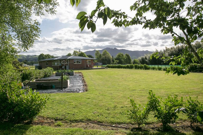 Photo of property in 217 Kane Street, Pirongia, 3802