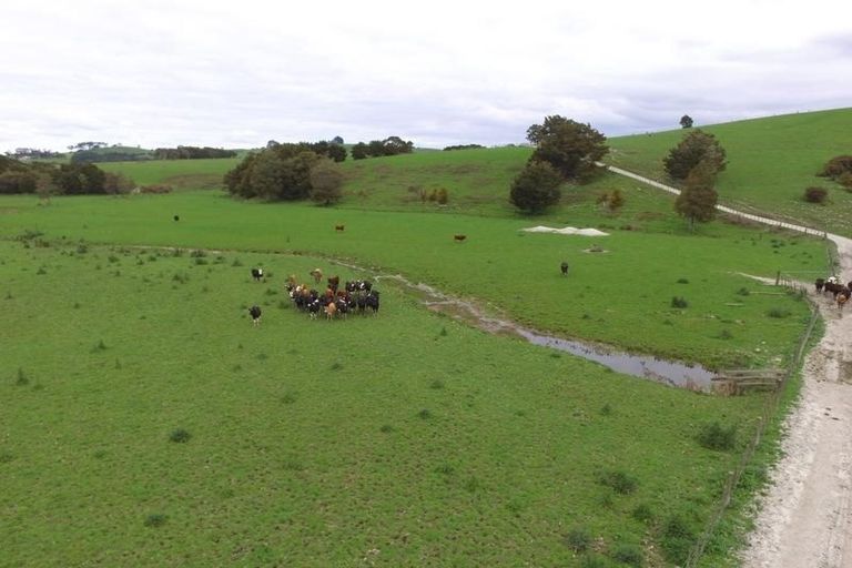 Photo of property in 48 Station Road, Pukekohe, 2120