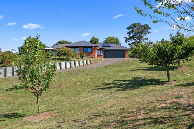 Photo of property in 323 Dukeson Road, Putaruru, 3481