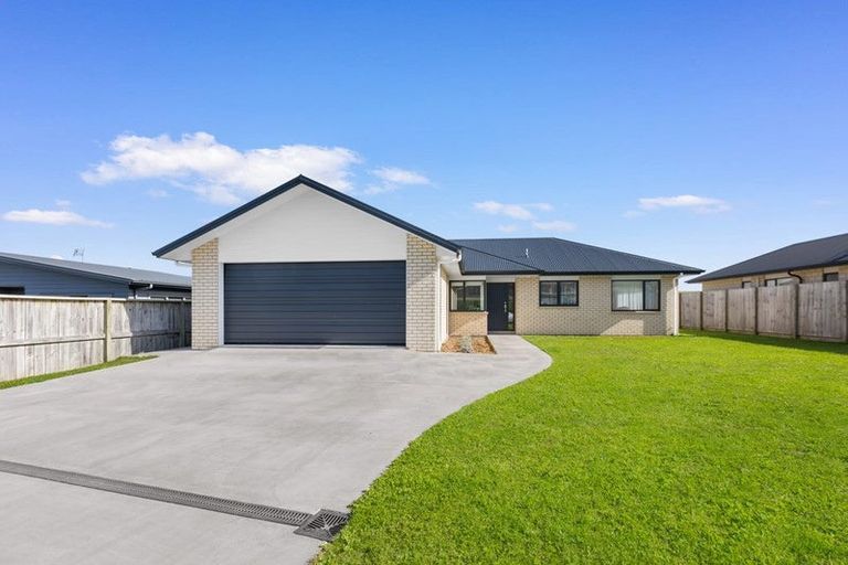Photo of property in 17 Andrew Hilton Close, Morrinsville, 3300