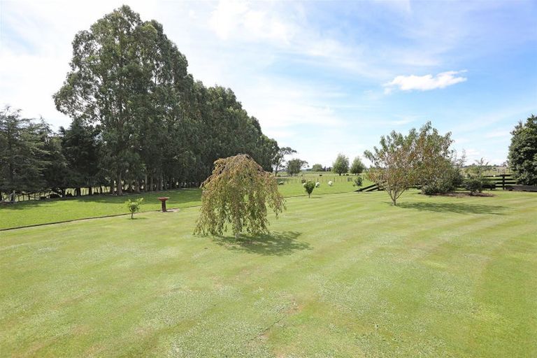 Photo of property in 255 Calico Line, Marton, 4787