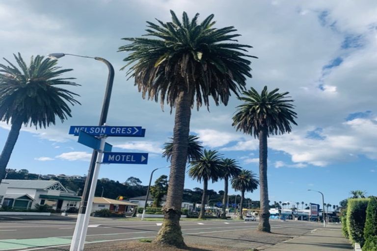 Photo of property in 45 Nelson Crescent, Napier South, Napier, 4110