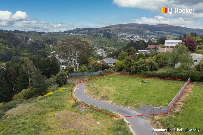Photo of property in 10 Nursery Lane, Belleknowes, Dunedin, 9011