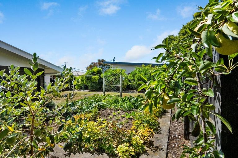 Photo of property in 15 Selwyn Street, Witherlea, Blenheim, 7201