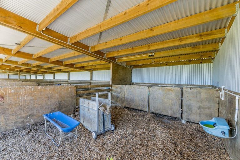 Photo of property in 194 Lindsay Road, Levin, 5510