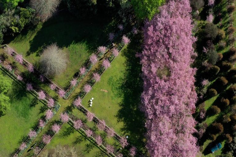 Photo of property in 125 Matangi Road, Matangi, Hamilton, 3284