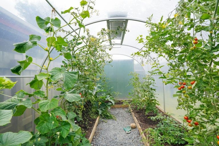 Photo of property in 2/168 Balmoral Drive, Appleby, Invercargill, 9812