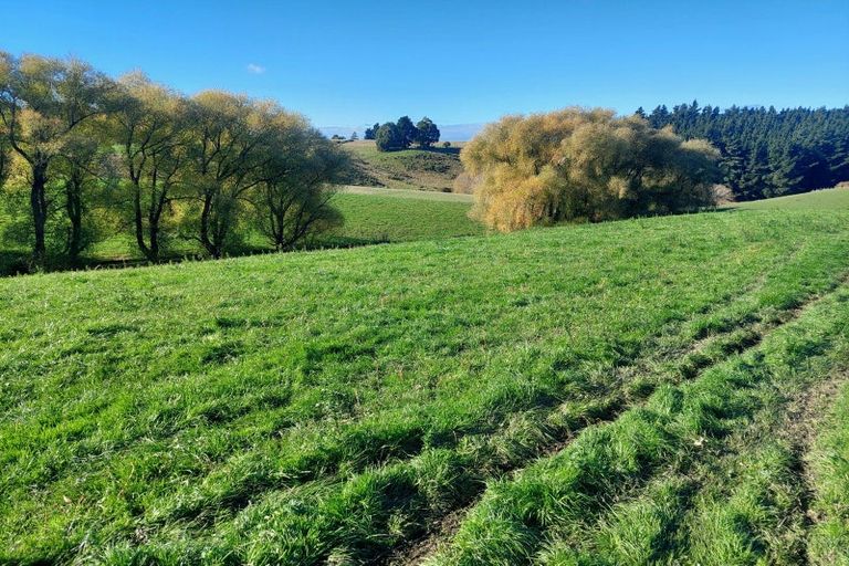 Photo of property in 2 Essex Street, Weston, Oamaru, 9401