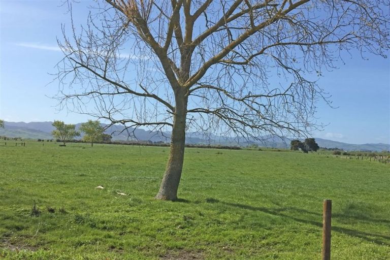 Photo of property in 382 Matatoki Road, Matatoki, Thames, 3578