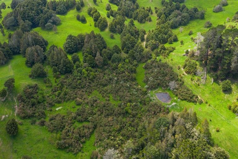 Photo of property in 229 Settlement Road, Kaiwaka, 0573