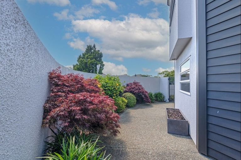 Photo of property in 42 Collingwood Street, Hokowhitu, Palmerston North, 4410