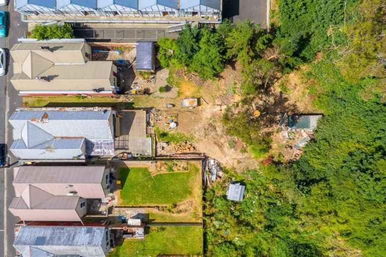 Photo of property in 101 Maitland Street, Dunedin Central, Dunedin, 9016