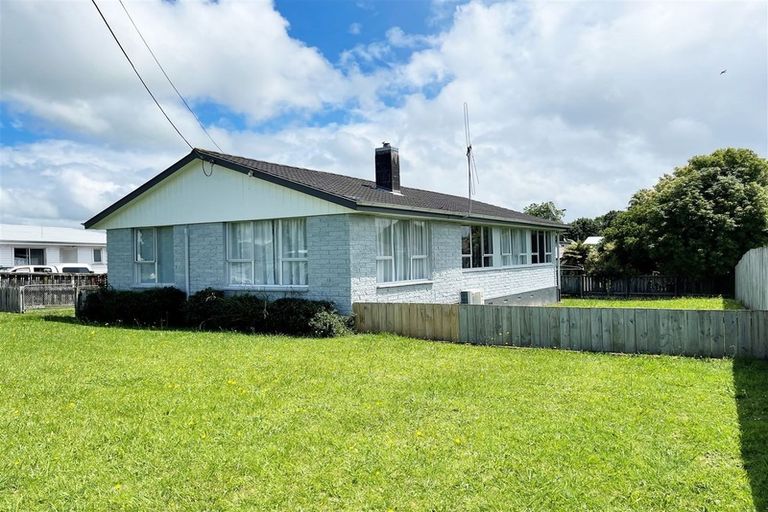 Photo of property in 39 Rangitahi Street, Otorohanga, 3900
