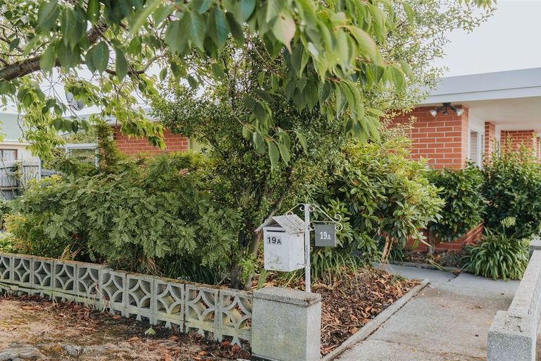 Photo of property in 19a Essex Street, Balclutha, 9230