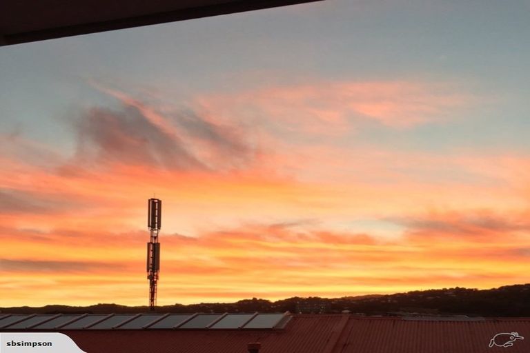 Photo of property in 6/42 Constable Street, Newtown, Wellington, 6021