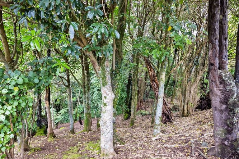 Photo of property in 41 Tokomaru Street, Welbourn, New Plymouth, 4312