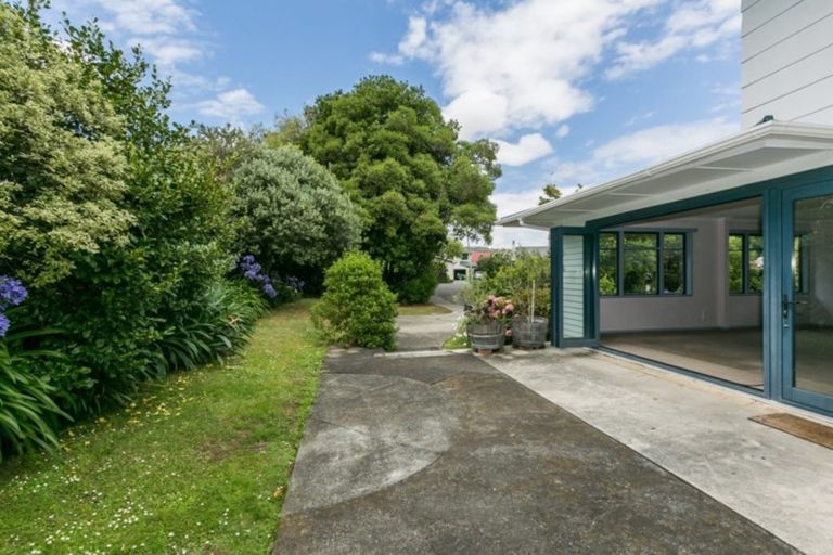 Photo of property in 21 Tanner Street, Havelock North, 4130