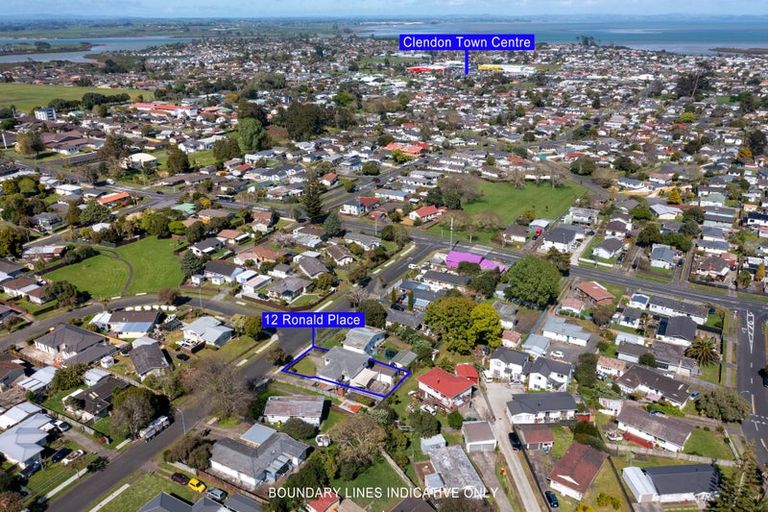 Photo of property in 12 Ronald Place, Manurewa, Auckland, 2102