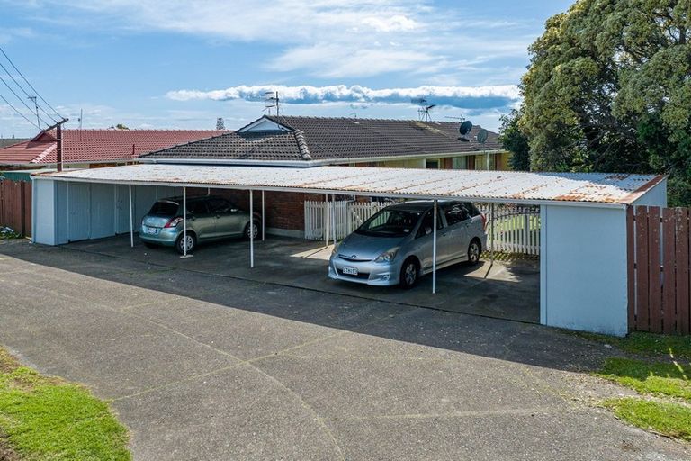 Photo of property in 113 Station Road, Papatoetoe, Auckland, 2025