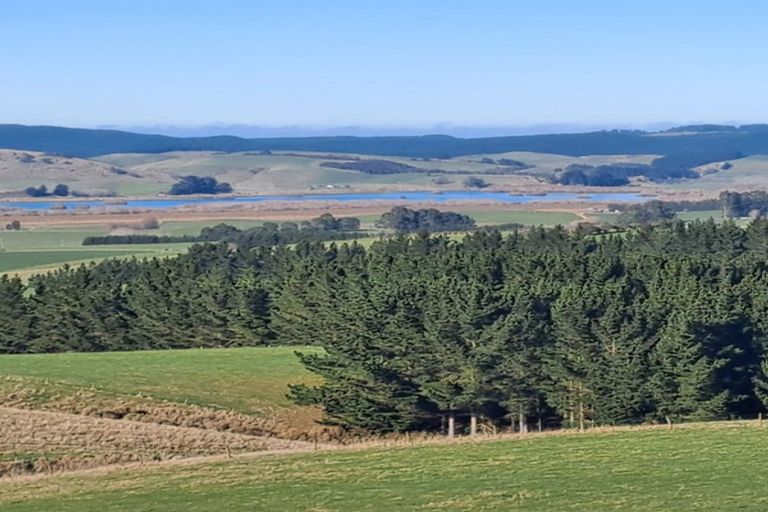 Photo of property in 31 Birss Road, Balclutha, 9272