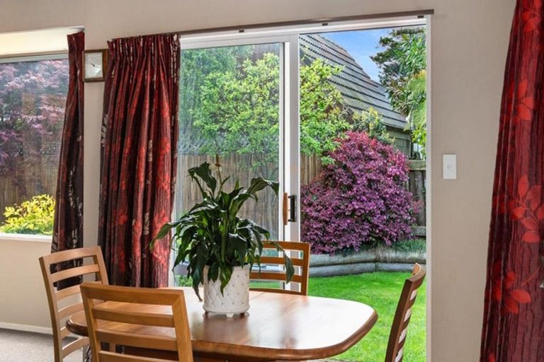 Photo of property in 5b Longwood Lane, Otumoetai, Tauranga, 3110