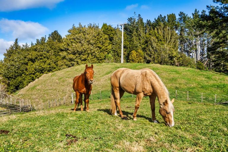Photo of property in 1095 Taumata Road, Omanawa, Tauranga, 3173