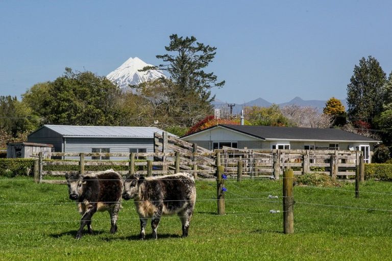 Photo of property in 309 Manutahi Road, Lepperton, New Plymouth, 4372